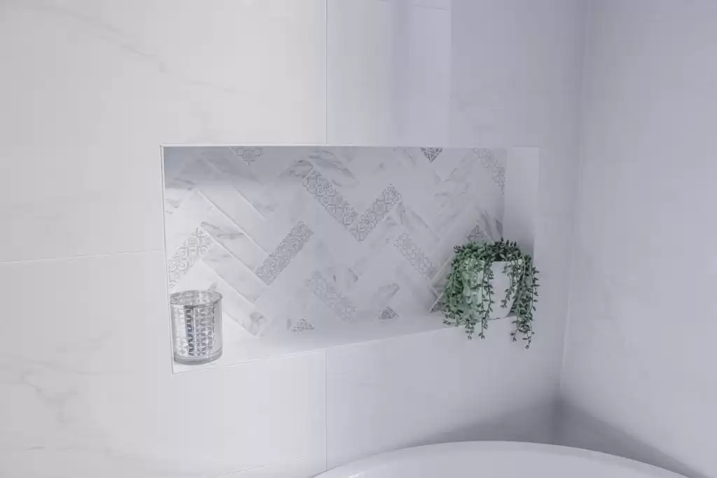 Hsp2 Img 8813 1024x683